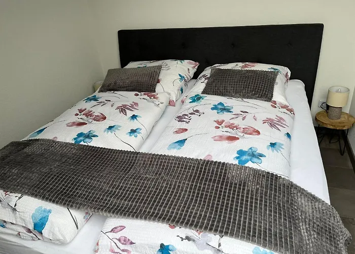 International 7 Бад-Гарцбург